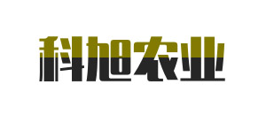 公司名稱